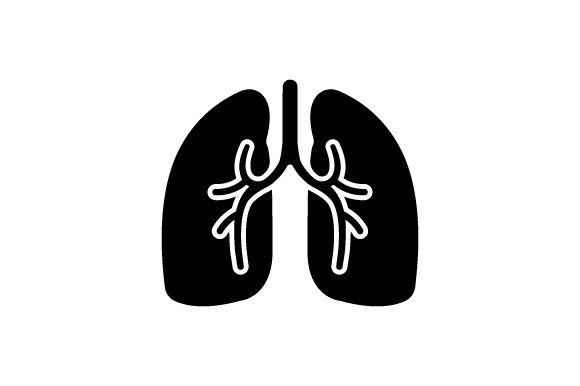 Human Lungs Icon Graphics